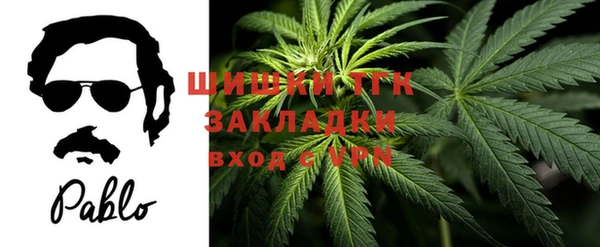mix Богородск