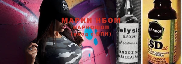 индика Заволжье