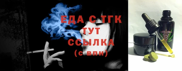 твердый Снежногорск