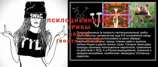 mdpv Богданович