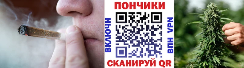 цена   Усмань  Каннабис семена 